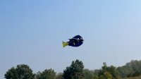 www.aeromodellistiaecbg.it